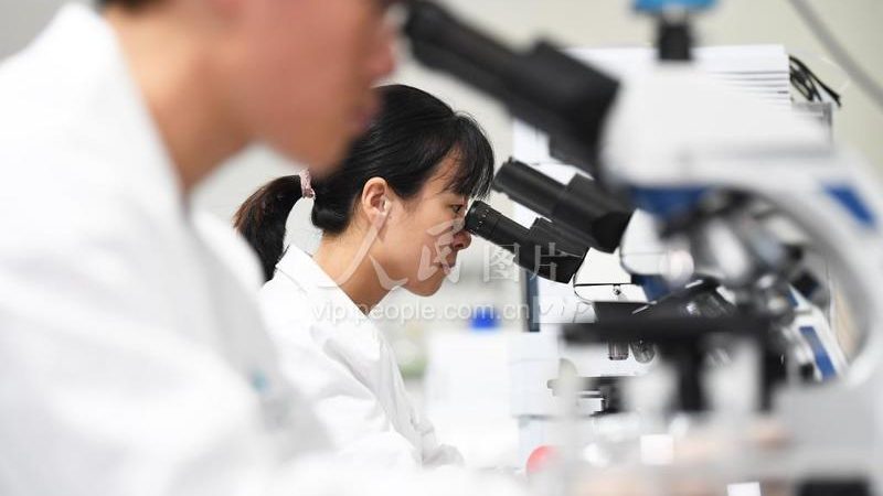 DNA连接酶活性参数对比：揭秘高效基因编辑的关键