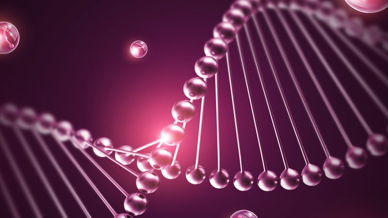 食品PCR检测：如何评估报价单的合理性与准确性**