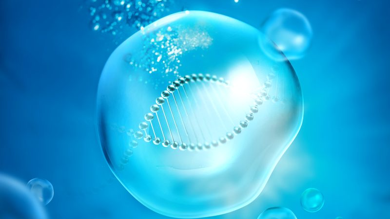 上海实验室耗材分类大全：揭秘实验室必备的“百宝箱”**