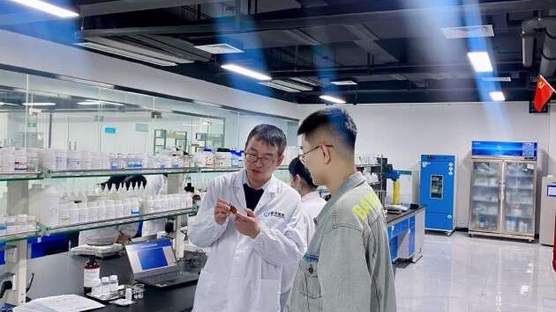 中国CDMO龙头企业合作攻略：揭秘合作共赢之道