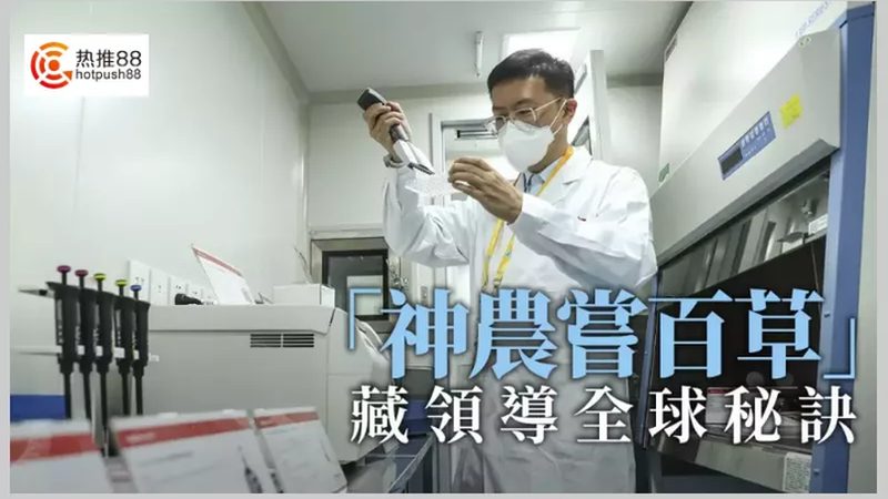 生物检测服务标准分类解析
