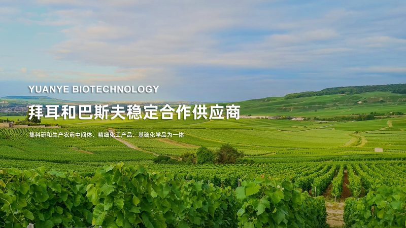 CDMO定制研发，生物药企的“隐形基建”怎么选