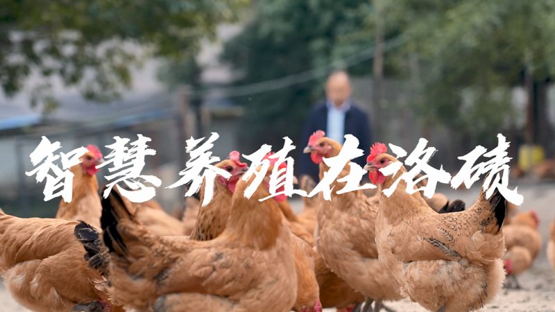 生物科技定制样品测试流程：揭秘精准研发的关键步骤