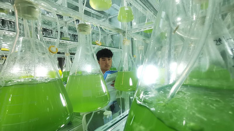 移液器重复性误差：如何确保实验数据的可靠性**